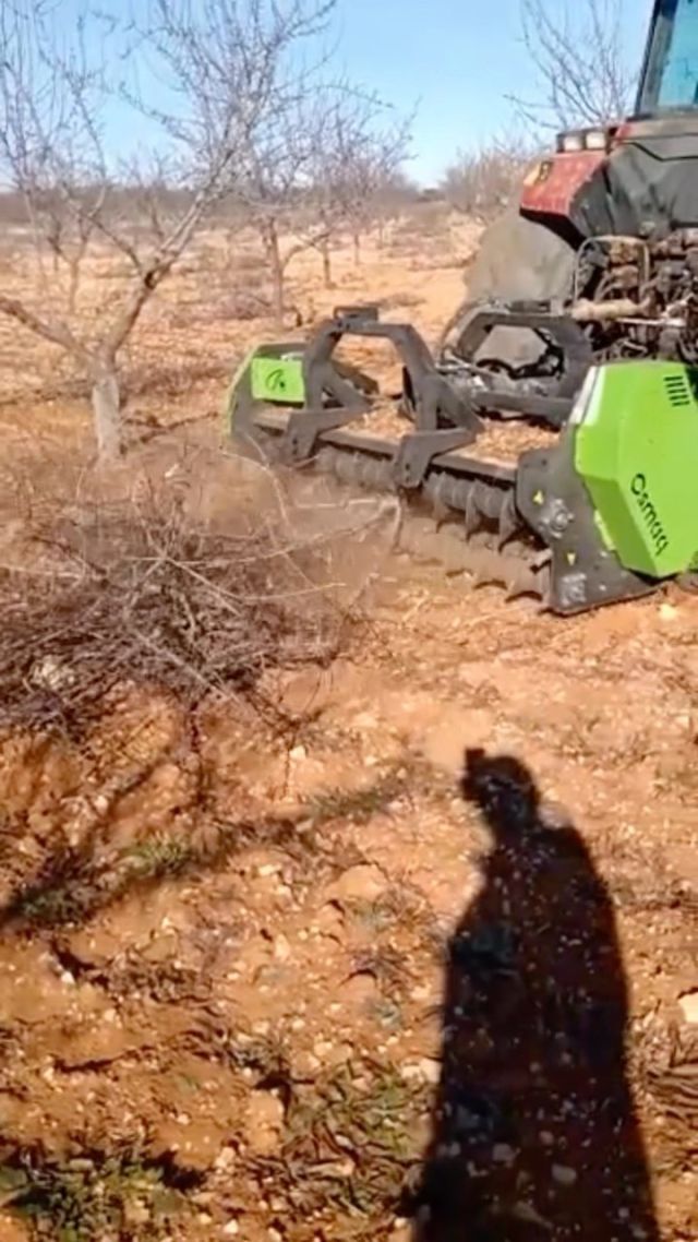 Después de una buena poda, una buena trituradora 💪

Reducimos de forma significativa el volumen de las ramas y restos vegetales en plantaciones y cultivos ¡Vamos!

➡ WhatsApp 629 18 11 33
➡ Teléfono 932 296 909
➡ Poballe.com

#agricultura #agricultorfamiliar #podador #cultivosano #agriculturabruta #maiz #agriculturaorganica #agricultores #agriculturaecologica #poballe #cultivosintesivos #maizdulce #cultivos #granja #maquinariaagricola #subproductos #campo #trabajocampo #alimentacionanimal #agricultor